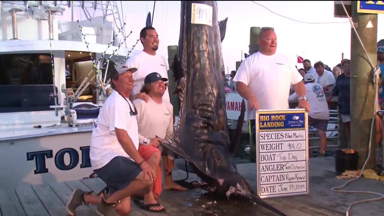 Big Rock Tournament Won By Record Size Marlin Fishing Reports
