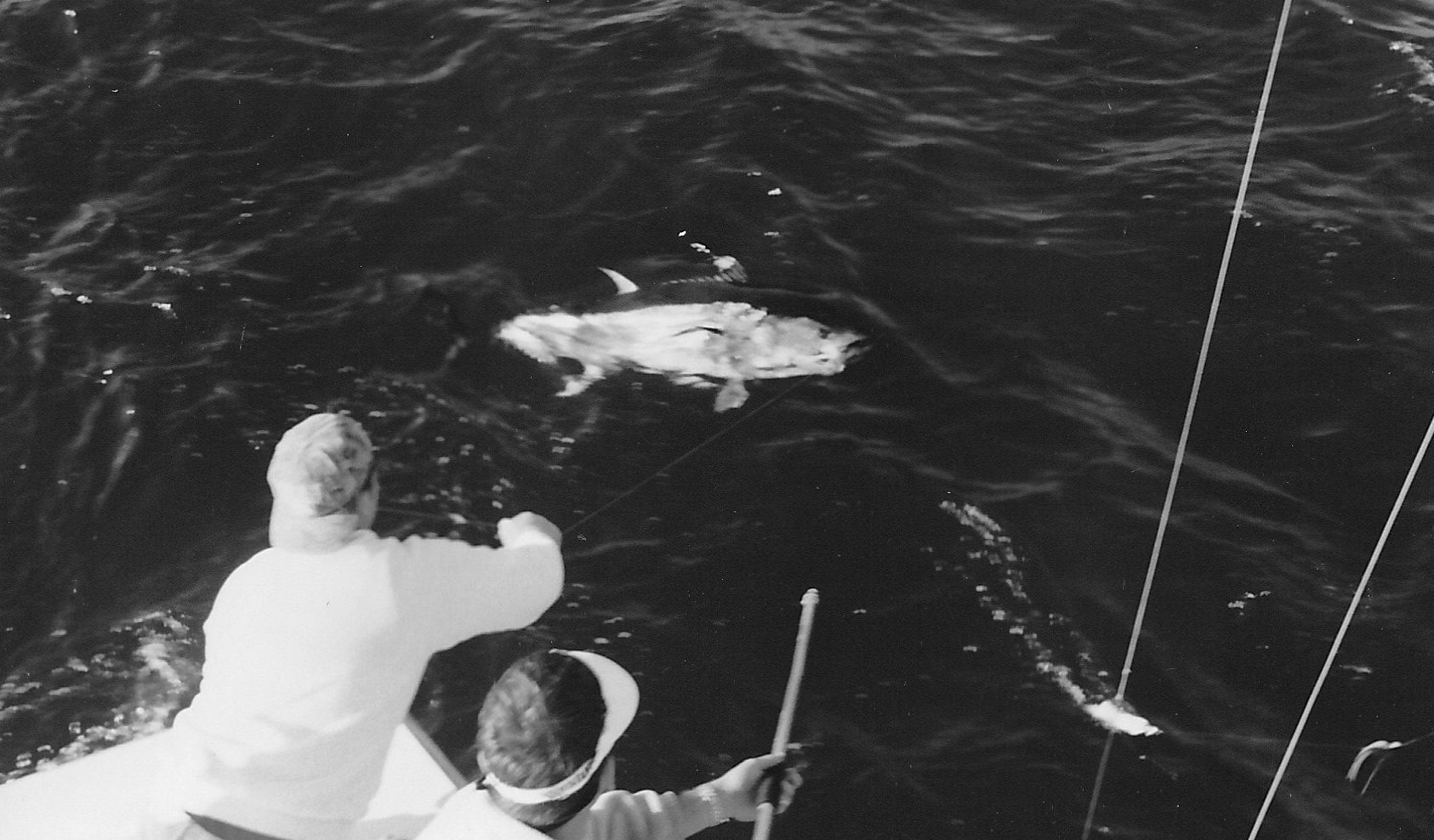 Fishing For Giant Bluefin Tuna..Remembering 25 Years Later - Saltwater  Angler