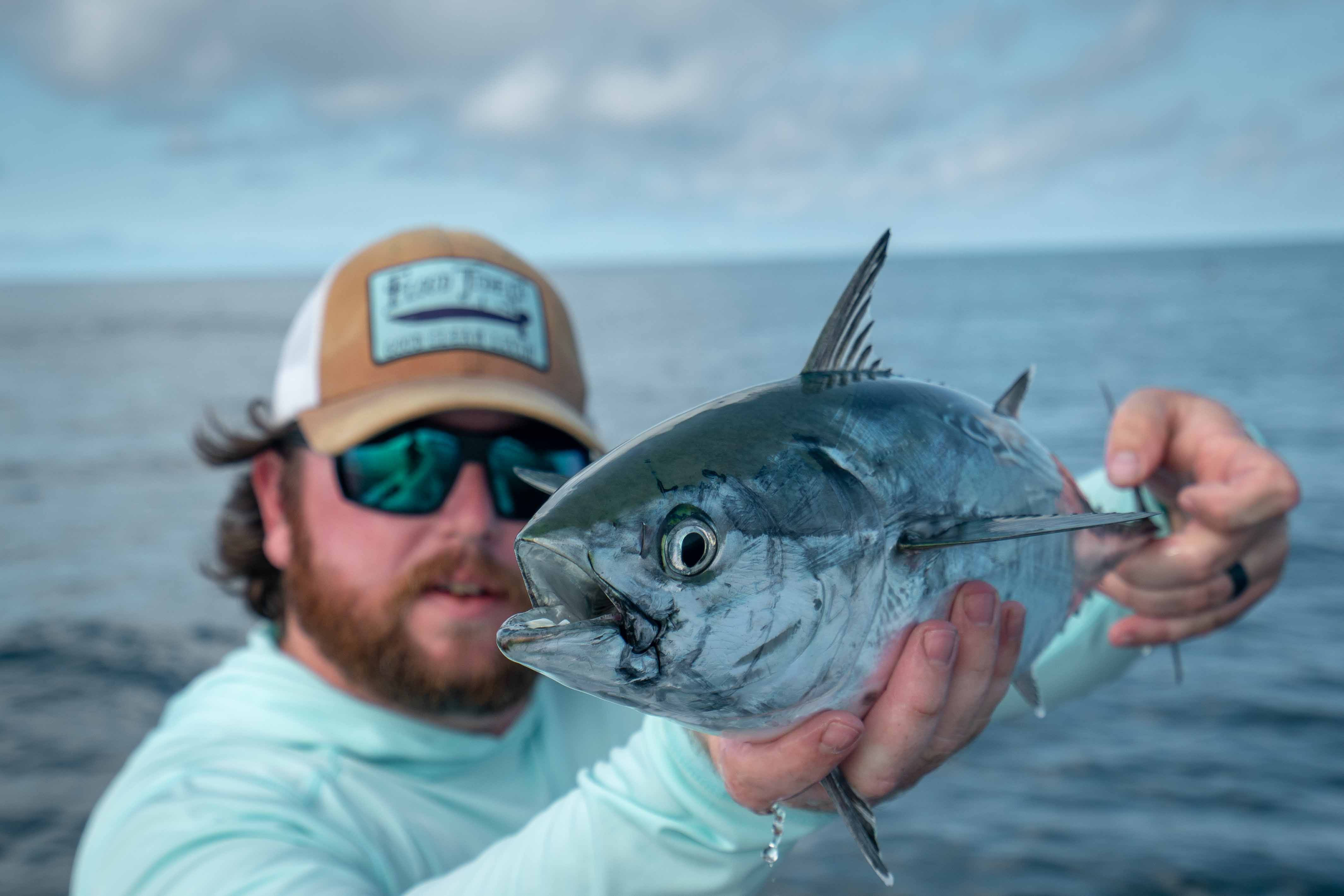 How to Catch Albacore - Tips for Fishing for Albacore