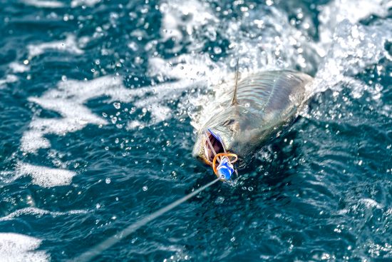 Keys to Offshore Fishing Success on the Troll, trolling fishing 