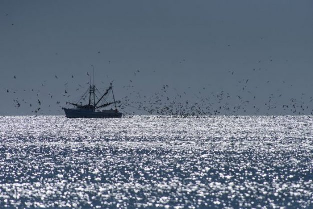 North Carolina High School and Junior Series Fishing - Coastal Angler & The  Angler Magazine