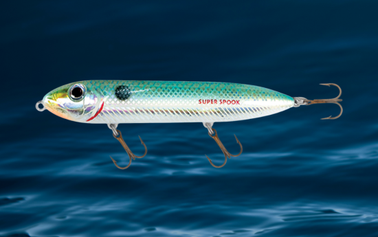 3 Reasons Artificial Lures Can Be Better Than Live Bait [Inshore Fishing]