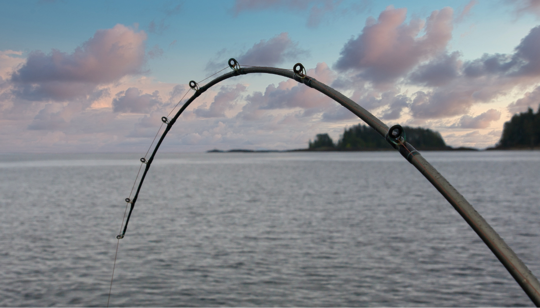 What Causes Fishing Rod Breaks And How To Avoid Them - Saltwater