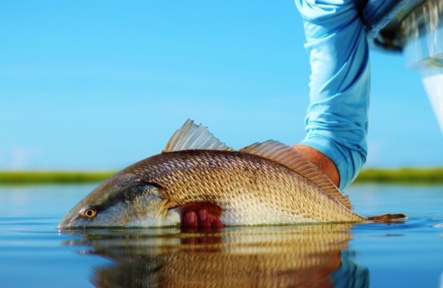 SPORTSMAN'S GUIDE, Fly fishing is less about fish, more about the angler