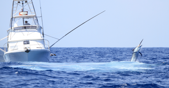 NC Offshore Fishing Reports at : North Carolina Deep Sea  Fishing Reports