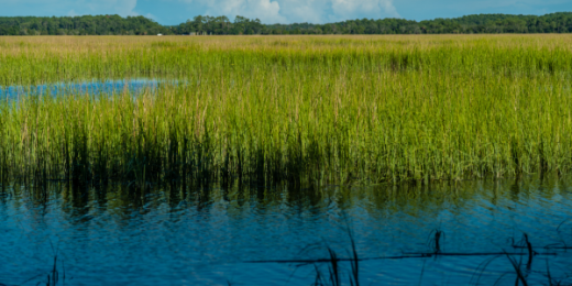 Managing The Impact of Tides & Currents When Fishing - Saltwater Angler